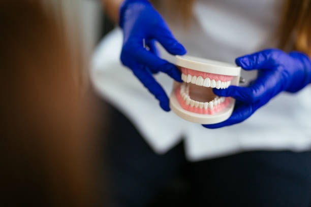 Reliable Melrose Park, NY Dental Services Solutions